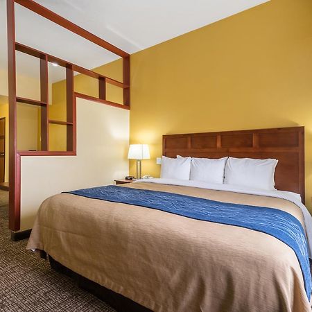 Comfort Inn & Suites Cedar Stadt Exterior foto
